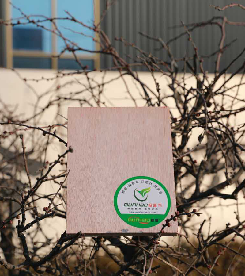 B級阻燃板 B級阻燃板